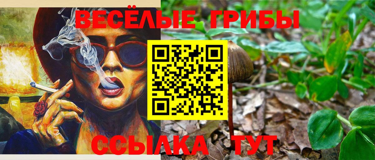 Галлюциногенные грибы мицелий  Вход с VPN  Минусинск 