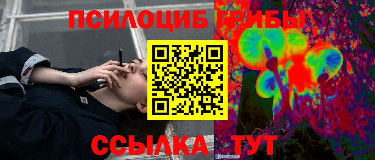 Псилоцибиновые грибы Psilocybe Минусинск